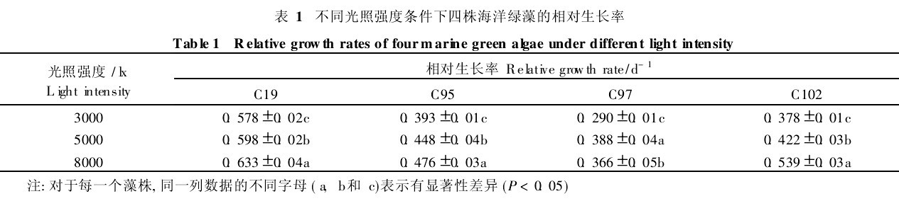 表1不同光照強度條件下四株海洋綠藻的相對生長率