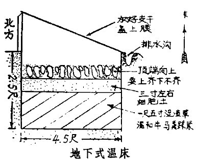 ����ʽ�ش�