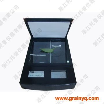 ���w�~��e�x